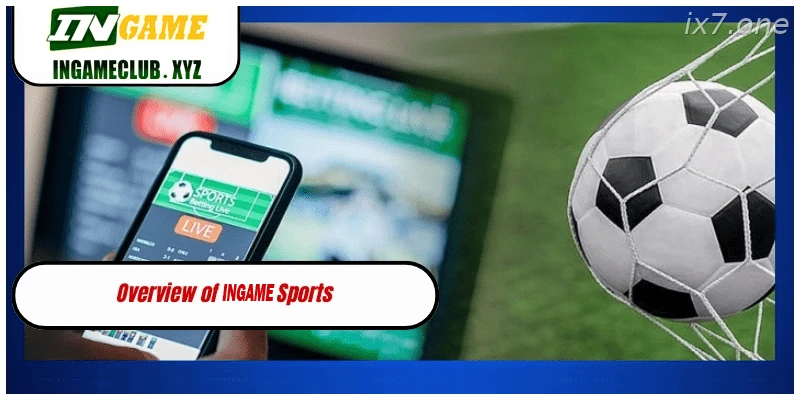IX7 Sports India cricket football and live betting lobby