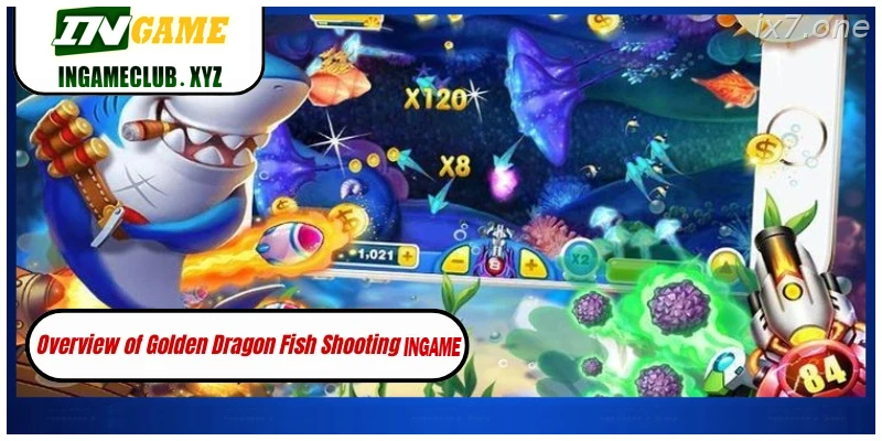 Golden Dragon Fish Shooting India fish shooting game lobby and target control